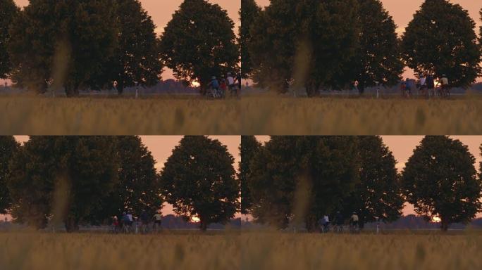 SLO MO一家带着三个孩子在日落时分在绿树成荫的乡间小路上骑自行车