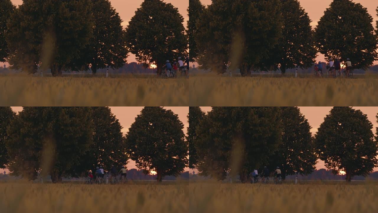 SLO MO一家带着三个孩子在日落时分在绿树成荫的乡间小路上骑自行车