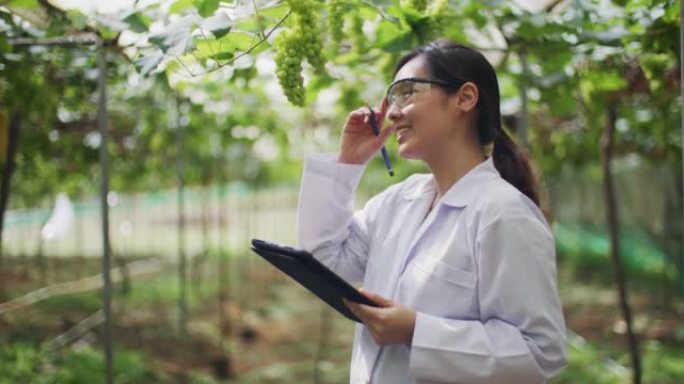 科学家使用平板电脑检查植物