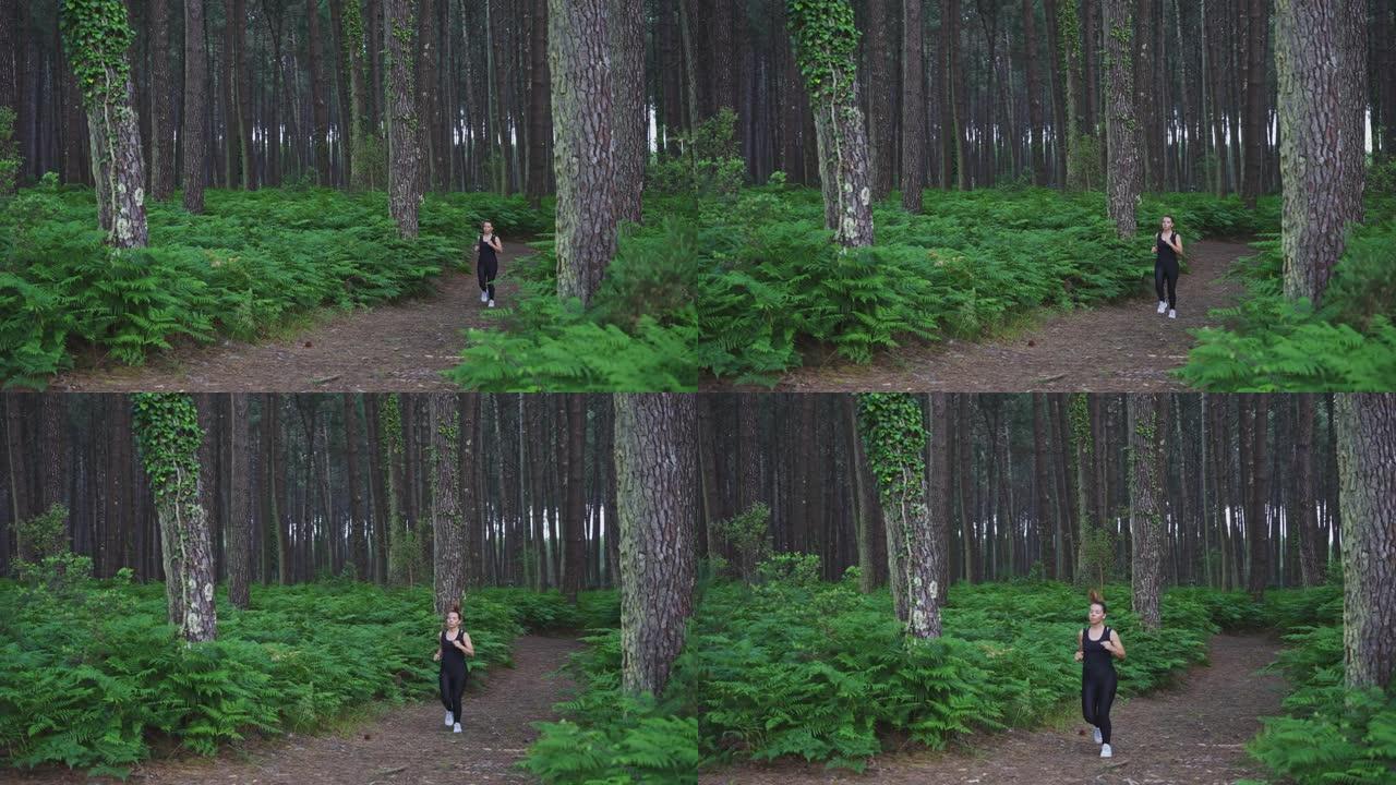 布鲁内特在茂密的充满活力的森林中奔跑的慢动作