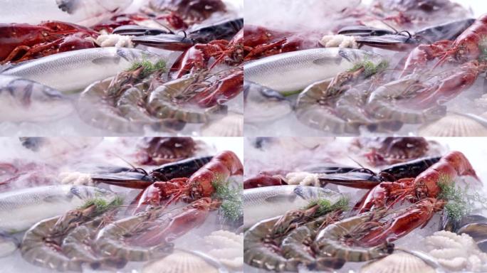 4K UHD Dolly right: 各种豪华新鲜海鲜，龙虾鲑鱼鲭鱼小龙虾虾章鱼贻贝和扇贝，在冰的