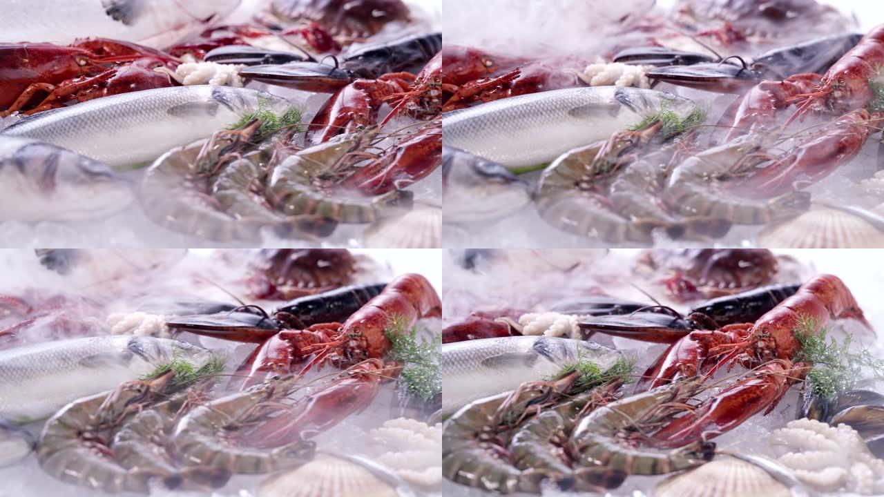 4K UHD Dolly right: 各种豪华新鲜海鲜，龙虾鲑鱼鲭鱼小龙虾虾章鱼贻贝和扇贝，在冰的