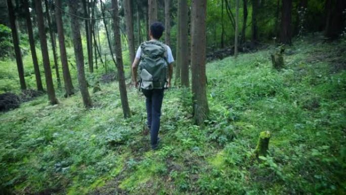 背着背包的人在森林里徒步旅行