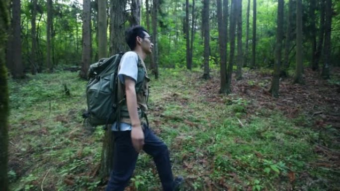 背着背包的人在森林里徒步旅行