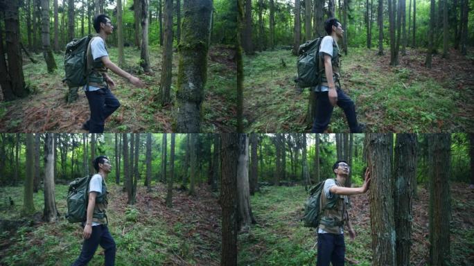 背着背包的人在森林里徒步旅行