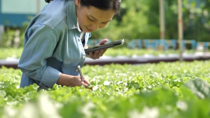 在温室中使用数字平板电脑研究人员的农场