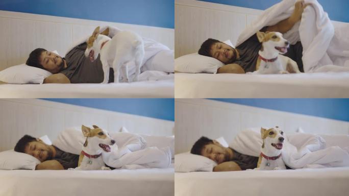 亚洲男子叫他的狗躺在床上