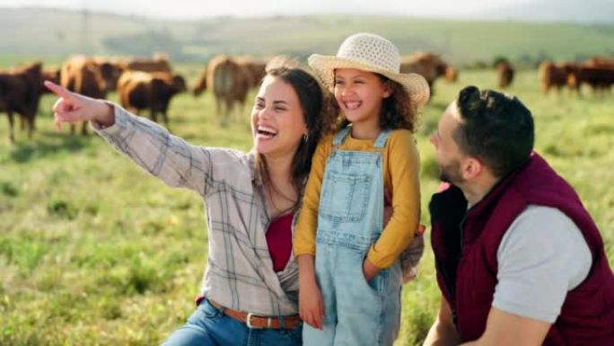 农场，家庭和牛与一个女孩，母亲和父亲在田间务农，看着风景和大笑。与男人，女人和女儿在草地上种牛的可持