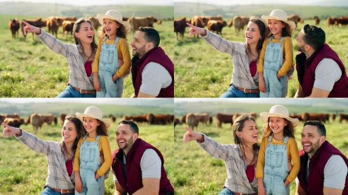农场，家庭和牛与一个女孩，母亲和父亲在田间务农，看着风景和大笑。与男人，女人和女儿在草地上种牛的可持
