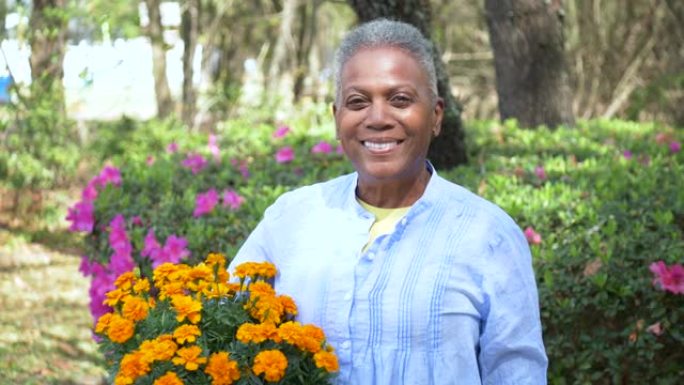 资深非裔美国妇女在院子里种花