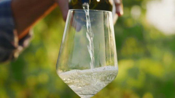 成功的男性酿酒师的特写镜头是将白葡萄酒倒入透明玻璃杯中，以品尝风味并在日落时检查葡萄园背景的质量。