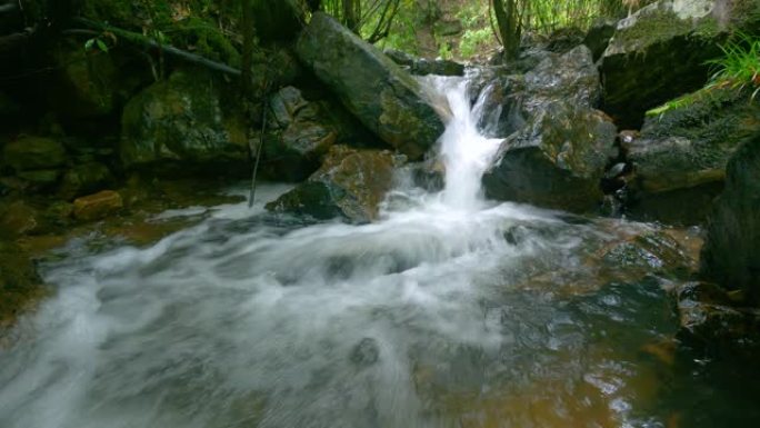 清澈的溪流落水林间小溪山间