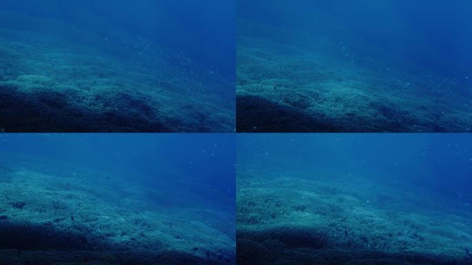 南部岛屿上的珊瑚礁和一群鱼