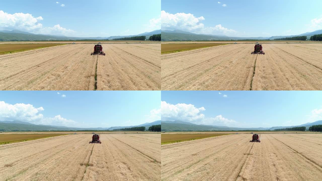 拍摄新疆田间收割的收割机