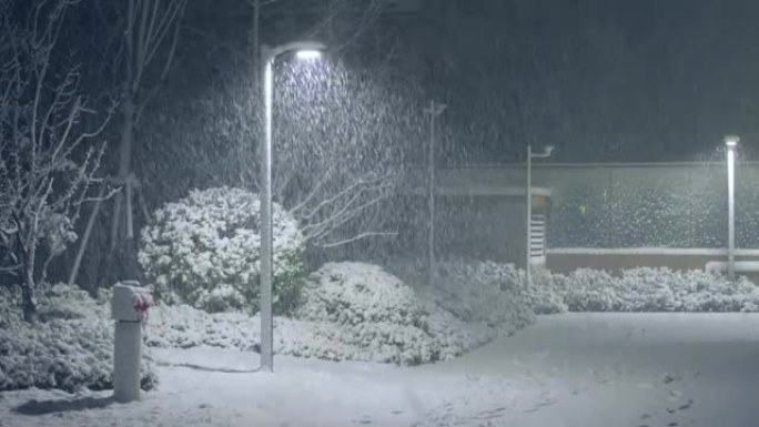 夜间街道降雪雪灾寒潮零下