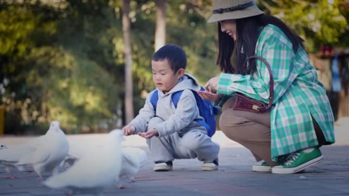 男孩和母亲喂鸽子培养爱心接触