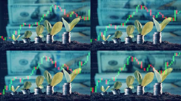 多层屏幕上的货币、动态股票图和植物