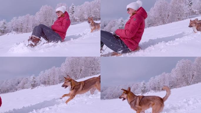 慢动作: 开朗的女人，紧随其后的是可爱的狗，正在雪山上雪橇