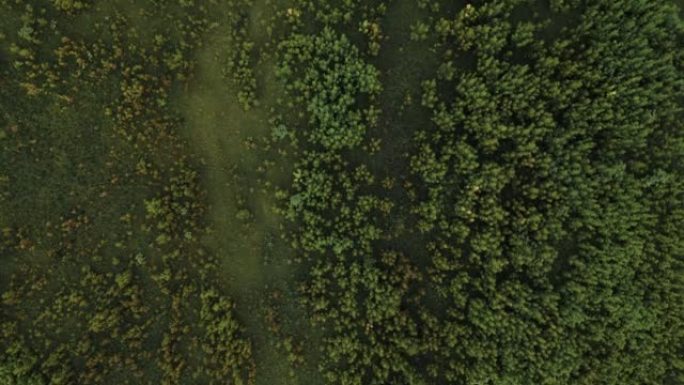 倾斜无人机的绿色草地视图