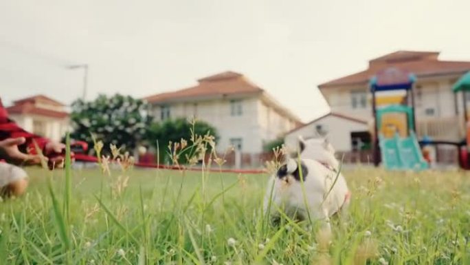 男人和他的法国斗牛犬在操场上奔跑。