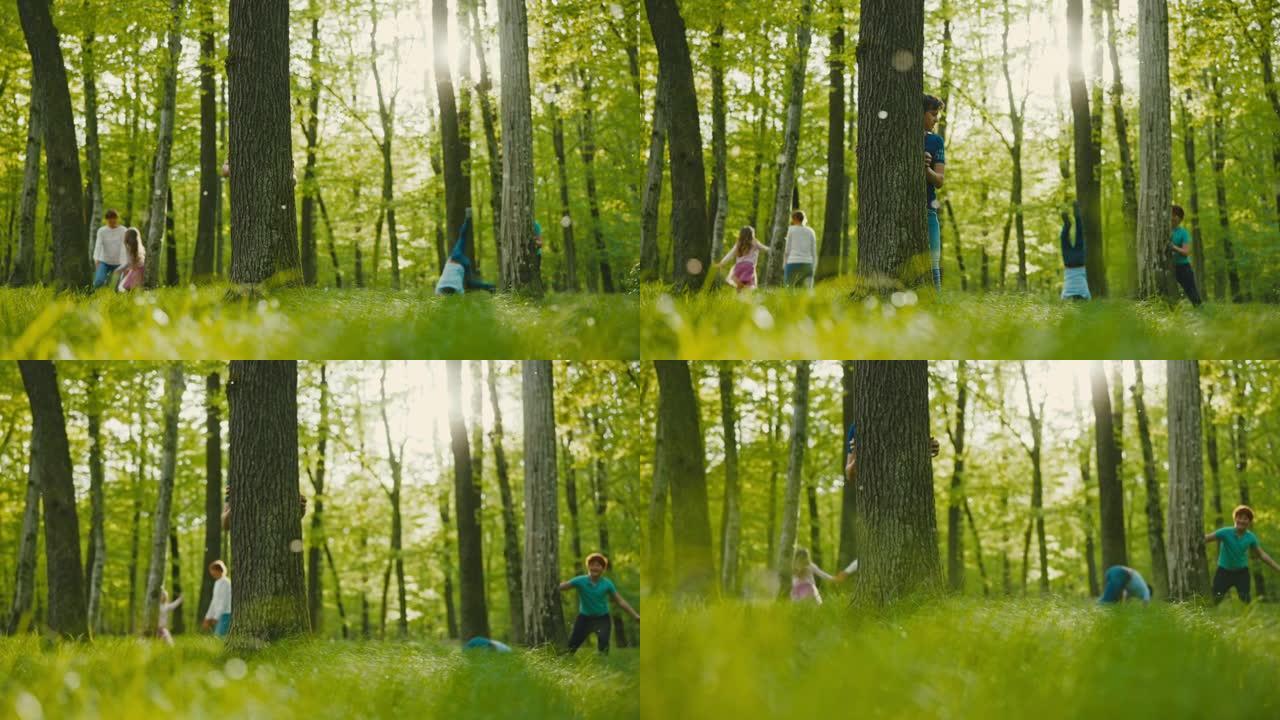 SLO MO父母在绿色森林中与三个孩子度过的时光很开心