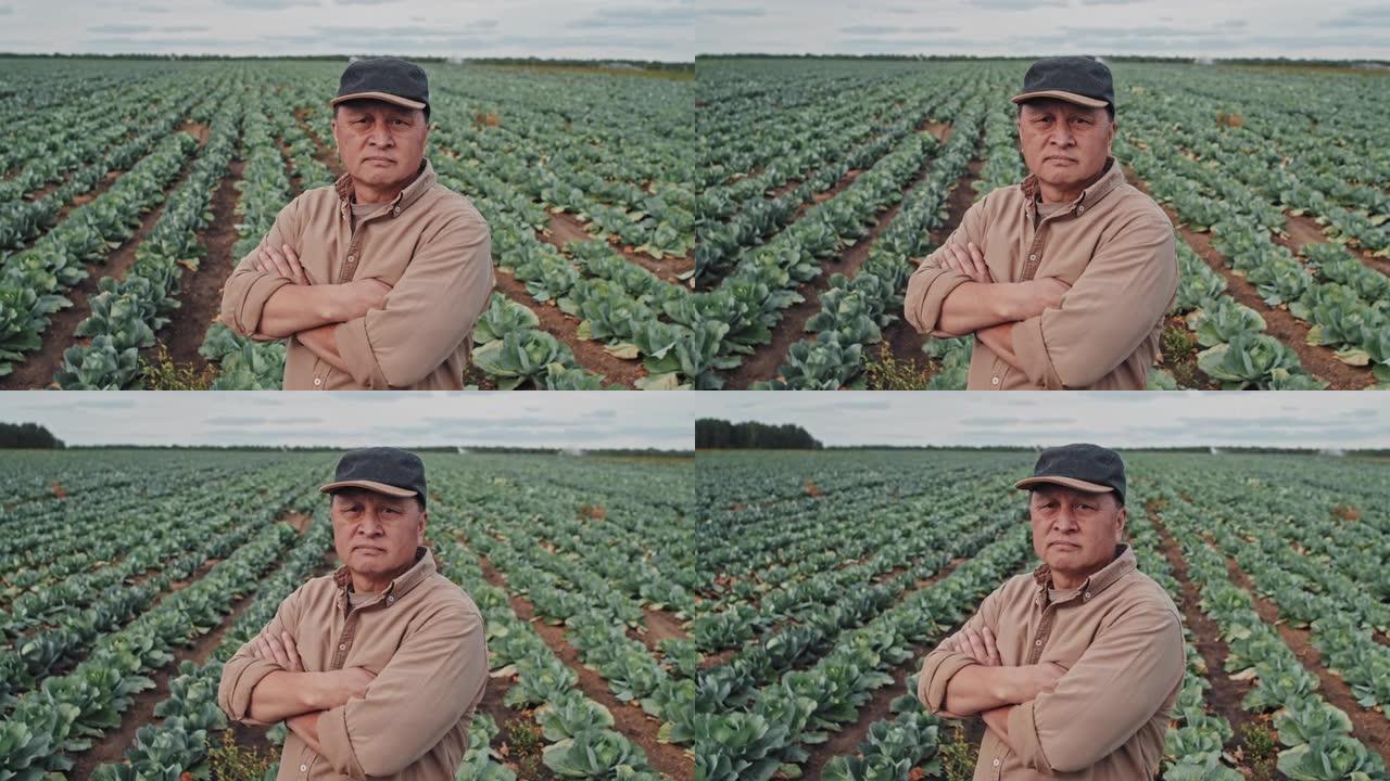 成功的农场主肖像农民播种蔬菜园甘蓝地