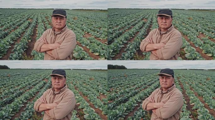 成功的农场主肖像农民播种蔬菜园甘蓝地