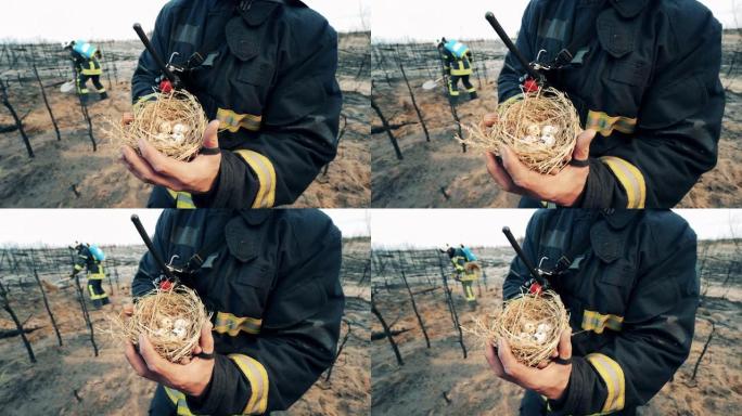 消防员正在展示一个被救出的鸟巢