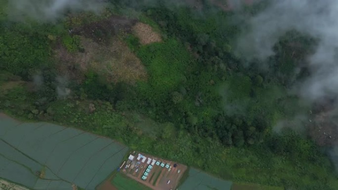 雾的鸟瞰图流过泰国北部的雨林山