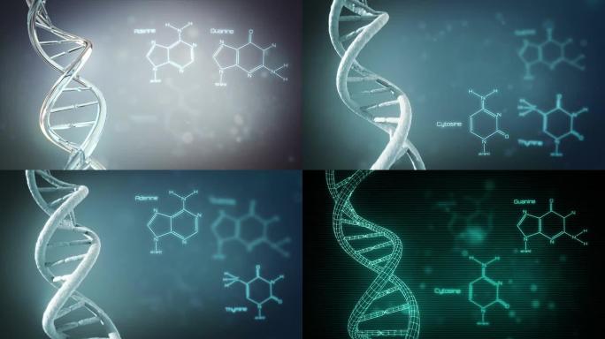 有复制空间的DNA。可循环。