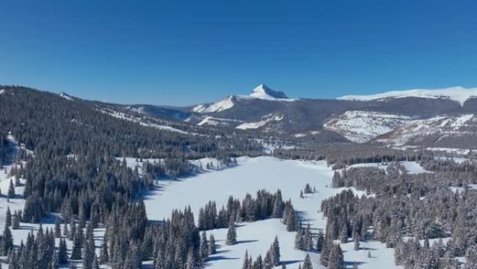 在晴朗的冬日，白雪覆盖的树木森林和美丽的山脉景观上方的鸟瞰图