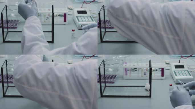 无法识别的科学家向实验室大鼠注射疫苗