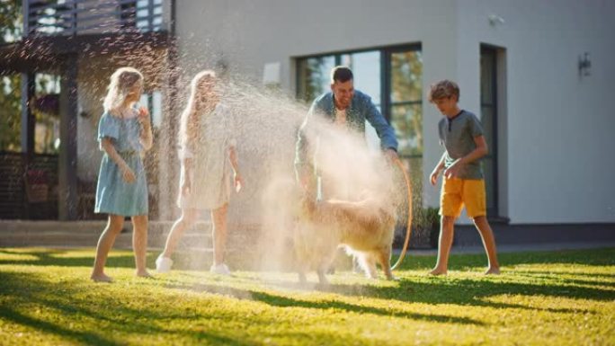 微笑的父亲，女儿，儿子与忠诚的金毛猎犬一起玩，用花园水管互相喷洒。在阳光明媚的日子里，一家人在后院一