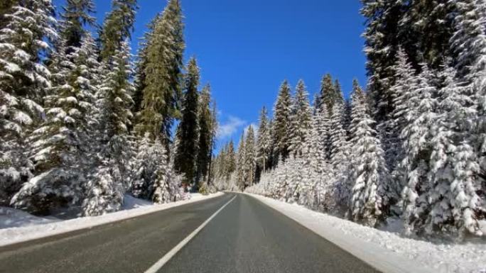 穿越雪白森林的雪乡公路上的驾驶视点