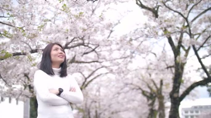 女人在日本春天快乐，樱花盛开