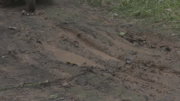 h电动三轮车碾过乡村雨后泥巴路