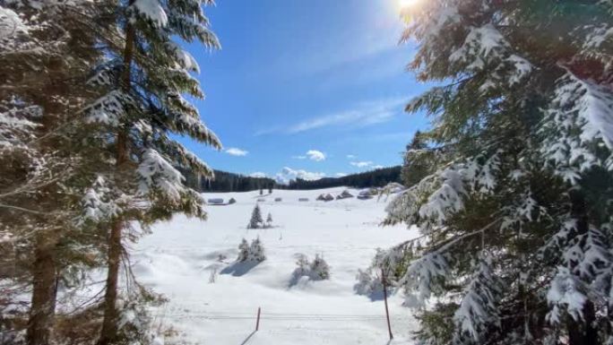 雪山高原在一个美丽的阳光明媚的冬日