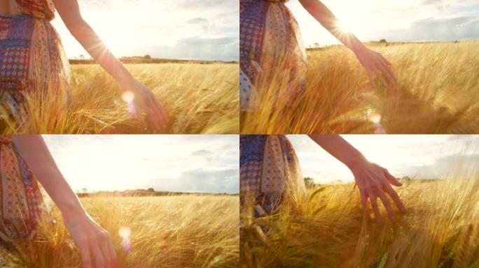 4k视频片段，一名妇女走过麦田