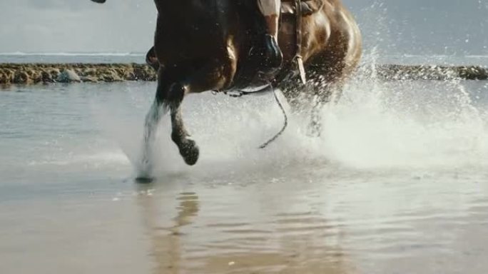 马在水中疾驰