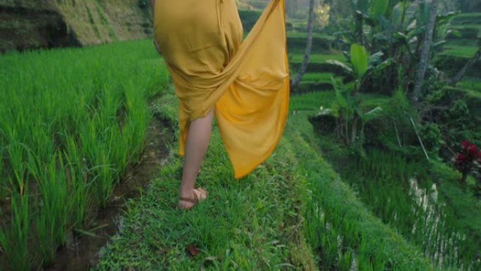 穿着黄色连衣裙走在稻田里的女人在印度尼西亚巴厘岛探索郁郁葱葱的绿色稻田异国度假