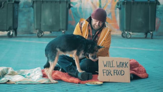 一个无家可归的人在街上喂他的狗