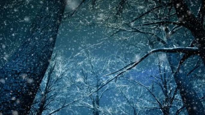 相机在圣诞节的冬季森林中以慢动作飞行，只有月光对着天空的树顶在框架中