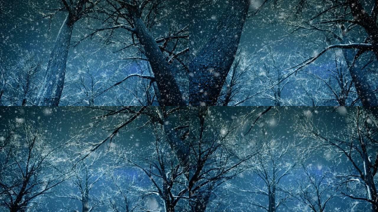 相机在圣诞节的冬季森林中以慢动作飞行，只有月光对着天空的树顶在框架中