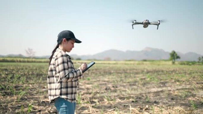 农民在农民中使用无人机，智能农场