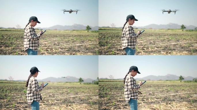 农民在农民中使用无人机，智能农场