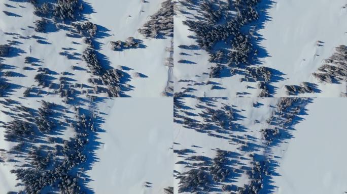 冬季山区积雪林木的俯视图抽象自然背景