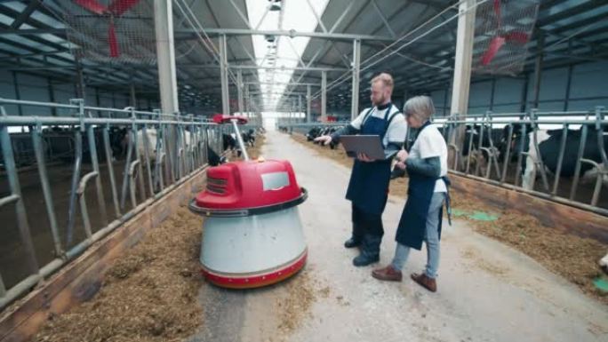 牛棚工人正在控制机器人饲料推进器