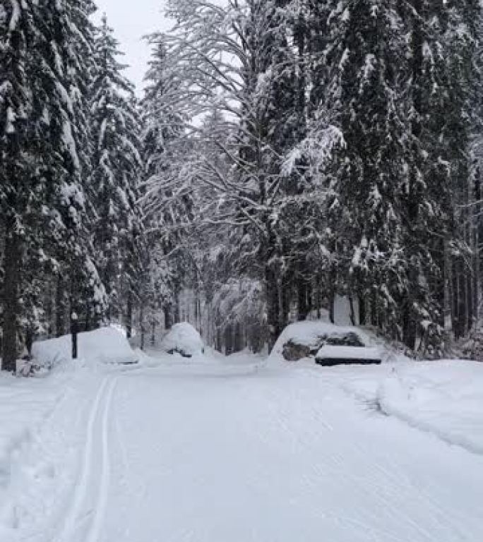 白雪覆盖的山谷在一个下雪的冬天