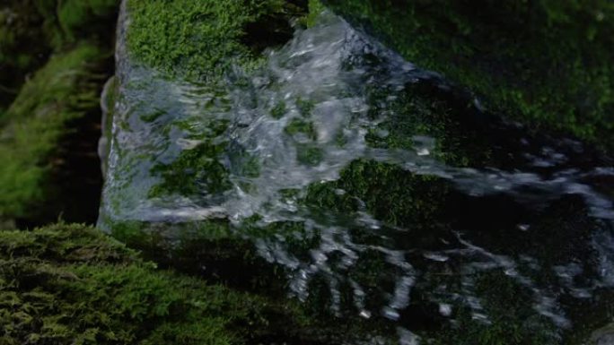 垂直，doff: 闪闪发光的清澈河水流过长满苔藓的岩石。