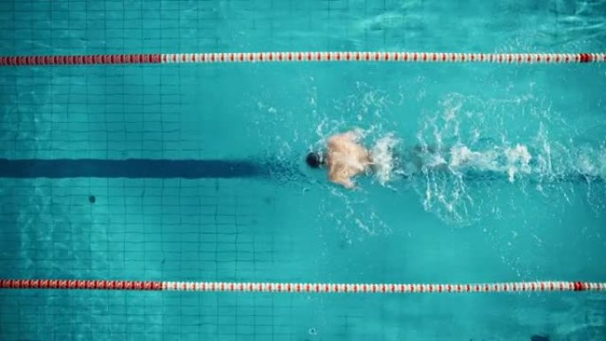空中俯视图: 游泳池中肌肉发达的男性游泳者。专业运动员以蝶泳的方式游泳，决心在训练中赢得冠军。电影慢